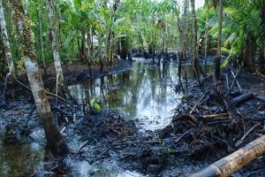 Amazonien Erdl Verschmutzung servindi