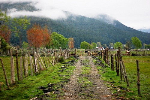Mapuche und Land/ matt.hintsa, flickr
