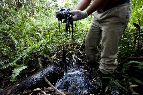 Giftige Hinterlassenschaften / Caroline-Bennett, Rainforest Action Network; flickr