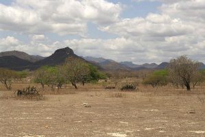 Semiaride Landschaft im Caatinga / deltafrut, CC BY 2.0, flickr