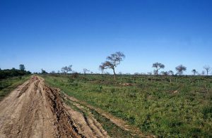 Chaco: Abgeholzt und für Soja-Anbau vorbereitet / Ostrosky Photos, CC BY-NC-ND 2.0, Flickr