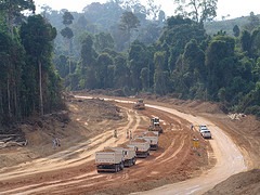 Urwaldrodung für Belo Monte / Foto: Archiv