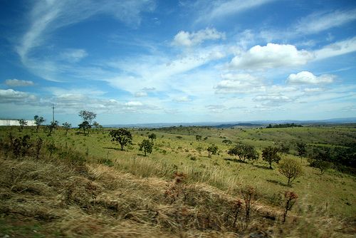 Landschaft des Cerrado / Stefanie Schwarz, CC BY-SA 2.0, flickr