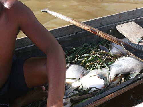 Das Hauptnahrungsmittel fisch wird vergiftet / inmigrante a media jornada, CC BY-NC-SA 2.0, flickr