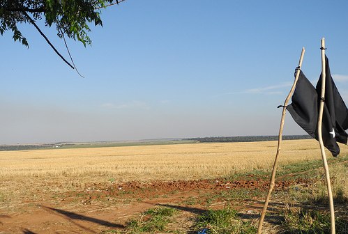 Riesige Felder gehören den Großgrundbesitzer*innen / 15 de junio, CC BY-NC 2.0, Flickr