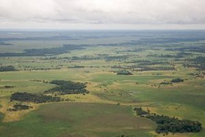 Llanos de Moxos / Sam Beebe, CC BY-SA 2.0, wikipedia