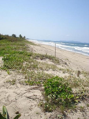 Schönes weckt Begehrlichkeiten: Küste im Gebiet der Garífuna /Renata-Avila, CC BY-NC 2.0, flickr