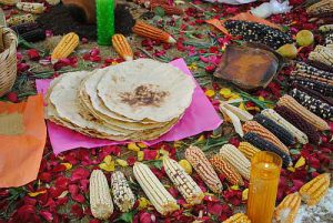 Was drin ist in Essen aus Mais, weiß man oft nicht / Foto: Maisritual beim TTP, Foto Ceccam