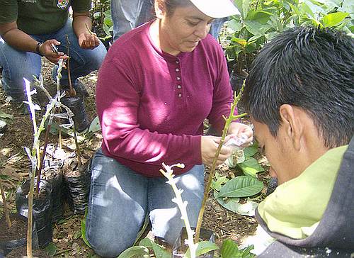 Ob das geplante Projekt bäuerliche Struktueren stärkt? /Foto: Bauern in Honduras, Trees ForTheFuture, CC BY 2.0, flickr