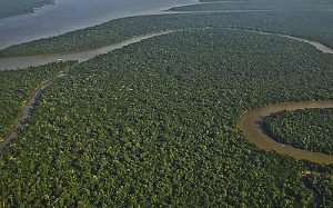 Amazonas / Foto: Lubasi, CC BY-SA 2.0