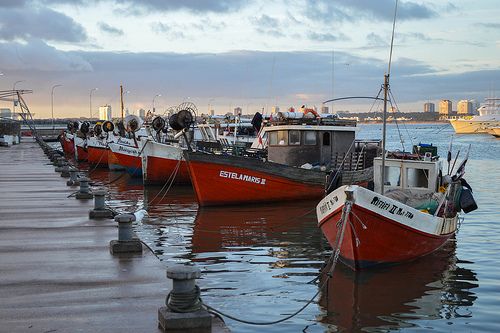 Fischerboote im Hafen / laurw, CC BY 2.0, flickr