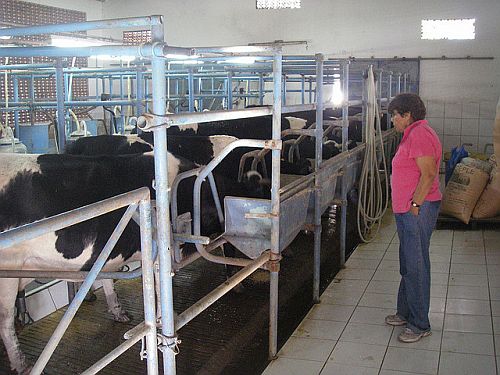 Viehhaltung in Portachuelo / Foto: clarileia, CC BY-NC-ND 2.0, flickr