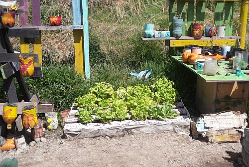 Salat in Paletten und bunten Gefaessen / Foto: Bettina Hoyer, CC BY NC SA 2.0