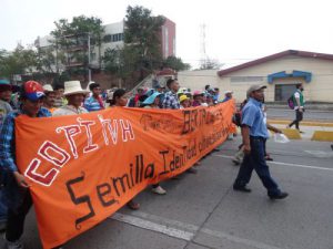 COPINH-Mitglieder bei Demonstration in Tegucigalpa / Foto: Hondurasdelegation, CC BY-SA 4.0