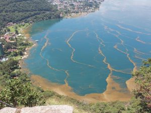 Luftbild des mit Bakterien verschmutzten Lago Atitlán. Foto: Servindi/Ángel Julajuj / Prensa Libre.