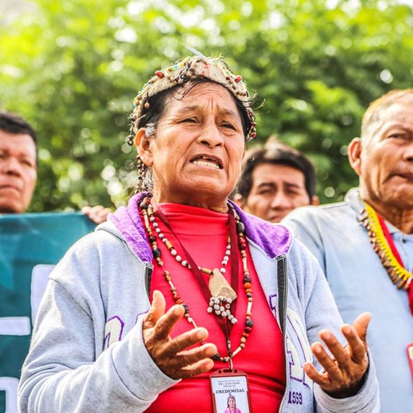 Indigene Frau protestiert