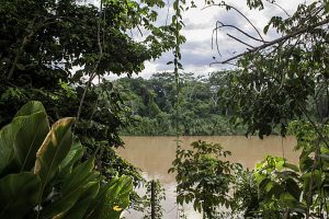 Biosphärenreservat Montes Azules in Chiapas / Foto: Moysés Zúñiga Santiago, Mongabay Latam/desinformemonos