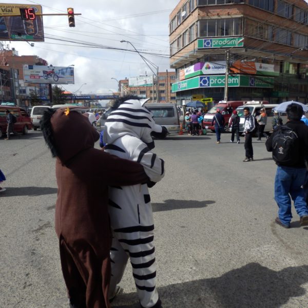 Zebras La Paz