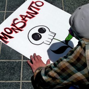 Protest gegen Monsanto
Foto: Donna Cleveland, flickr (CC BY 2.0)