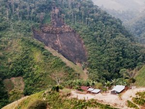 Brandrodung für Kokaanbau
Foto: Colombia Informa