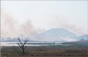 Waldbrand in Ceará. Foto: Servindi/osé Pedro Soares Martins