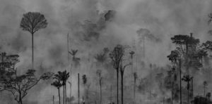 Feuer im Amazonasgebiet. Foto: La Tinta