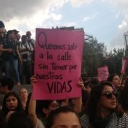 Der mexikanische Staat lässt Frauen* im Stich. Interview mit Charlynne Curiel