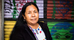 Interview Tag des indigenen Widerstands Marichuy