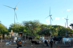 Rad des Anstoßes: Ein Windpark im Isthmus von Tehuantepec. Foto: Flores en el Desierto/Desinformémonos