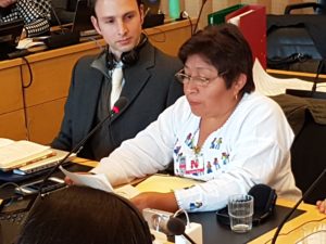 Leydy Pech bei ihrer Anhörung vor dem UNO-Menschenrechtsausschuss 2017. Foto: Gerold Schmidt