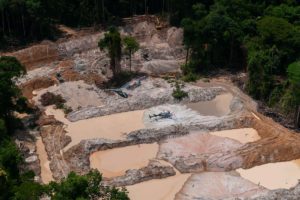 Spezialeinheit entdeckt illegale Goldgräberstätte im Südwesten des Bundesstaats Pará
Foto: fotospublicas