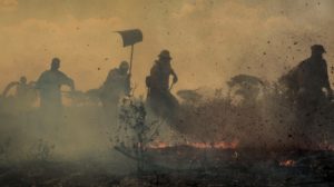 Feuerwehrleute und Freiwillige kämpften bereits 2020 erfolglos gegen die Brände im Pantanal an. Foto: Christiano Antonucci/Fotos Públicas (Atribuição-Não Comercial 2.0 Genérica)