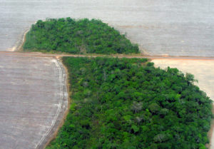 Das versprochene Ende der Abholzung ist auf einen Zeitpunkt datiert, zu dem zum Abholzen nciht mehr viel übrig sein wird.
Matto Grosso, 2007
Foto: Regierung Brasilien
CC BY 3.0 BR