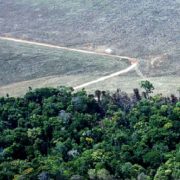 „Bolsonaro macht Brasilien zur Bedrohung für das globale Klima“