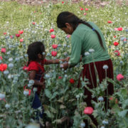 Opiumbauern, aber keine „Narcos“ – Überleben in Guerrero