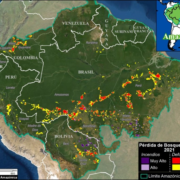 Weitere zwei Millionen Hektar Wald zerstört