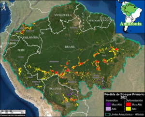 Abholzung Amazonasgebiet