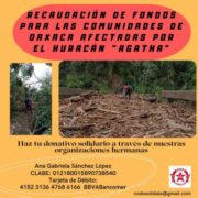Hurrikan Agatha verwüstet indigene Gemeinden in Oaxaca