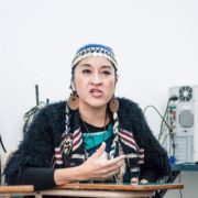 Interview mit Mapuche-Aktivistin Millán