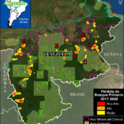 Abholzung im venezolanischen Amazonasgebiet