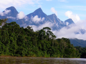 Das peruanische Amazonasgebiet. Foto: Servindi/Álvaro del Campo