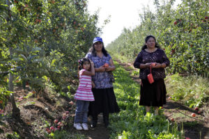 Häufig sind es Frauen und Mädchen, die in der Landwirtschaft tätig und für Wasser und Essen zuständig sind - das wird in der Klimakrise zur immer größeren Herausforderung / Foto: Ministerio de Agricultura Chile via Flickr (CC BY-NC 2.0)
