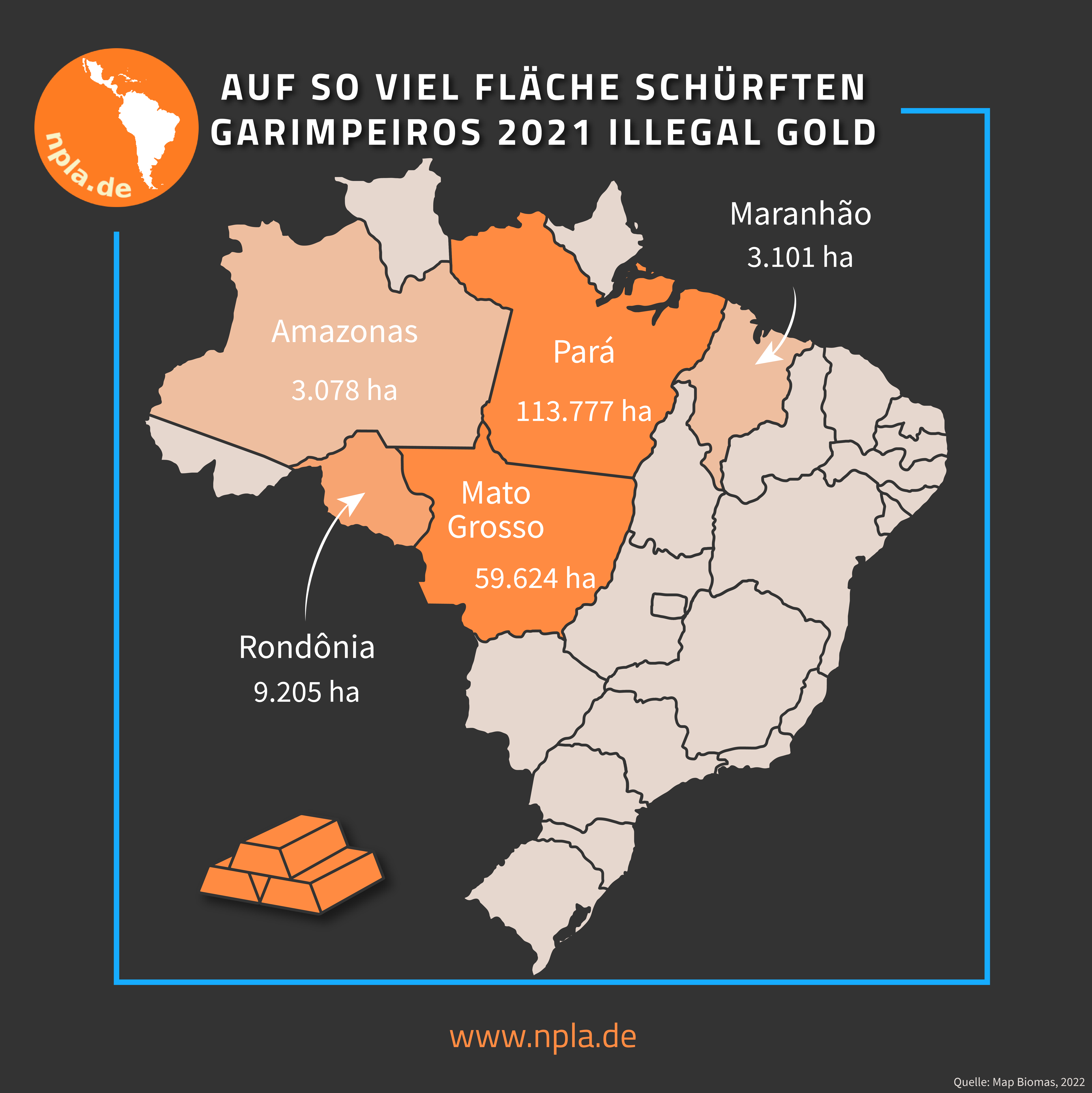 Besonders im nordbrasilianischen Bundesstaat Pará treiben die Garimpeiros ihr Unwesen. Grafik: Patricia Haensel