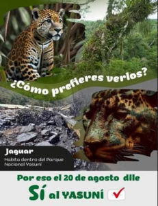 Plakat das Jaguar in intaktem und zerstörtem Regenwald zeigt und aufruft für den Schutz des Yasuní zu stimmen.