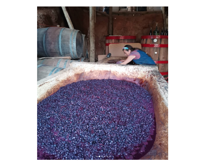 Foto: Instagram vinosherrera.alvarado