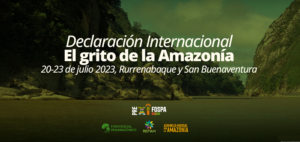 Logo des Vorbereitungstreffens zum Schutz des Amazonas-Regenwaldes. Grafik via Servindi