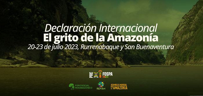 Logo des Vorbereitungstreffens zum Schutz des Amazonas-Regenwaldes. Grafik via Servindi