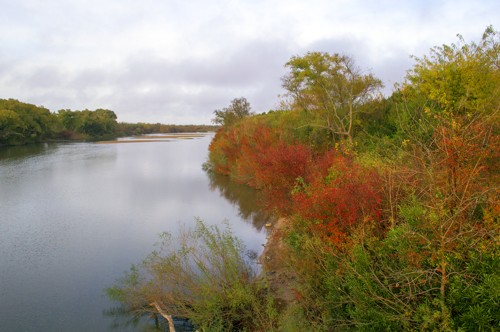El río proporciona una gran variedad de flora y fauna.