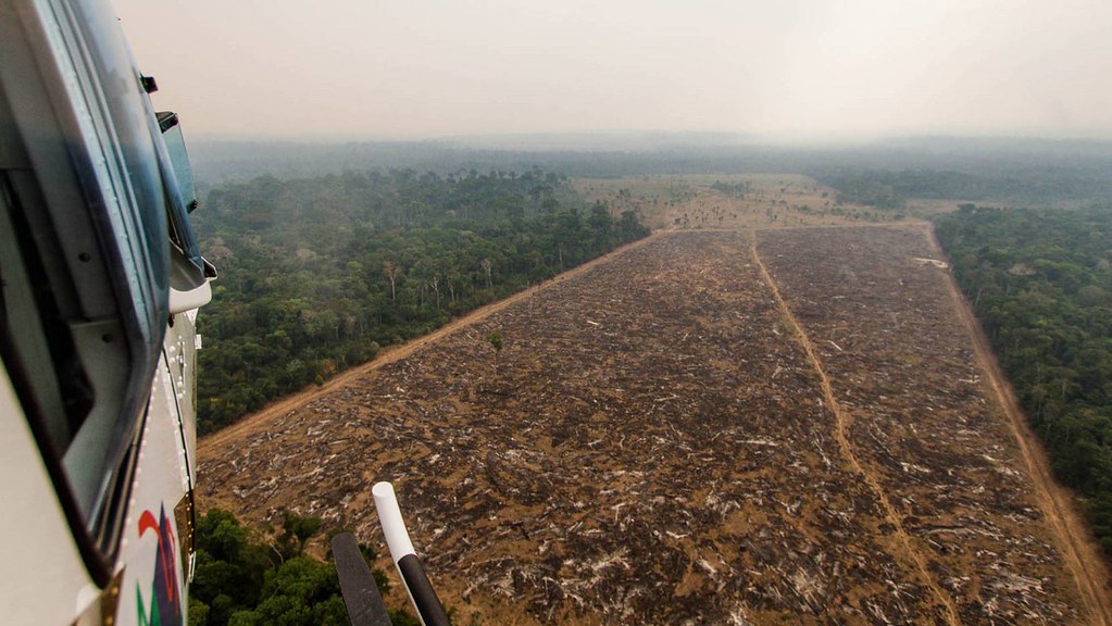 Um Fläche für landwirtschaftliche Nutzung zu gewinnen, wird die Entwaldung immer weiter vorangetrieben.
Foto: Jeso Carneiro via flickr
CC BY-NC 2.0