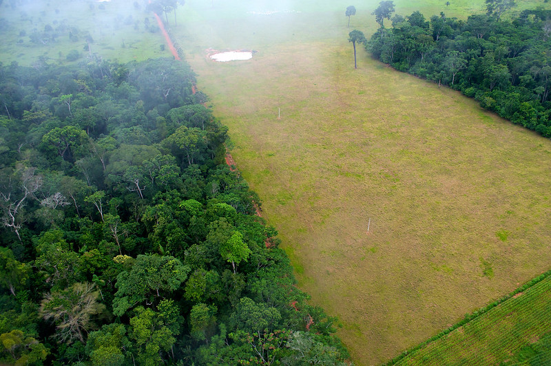 Abholzung im Amazonasgebiet nahe des Rio Branco im brasilianischen Bundesstaat Acre. Foto: Flickr/Kate Evans/CIFOR CC BY-NC-ND 2.0 Deed